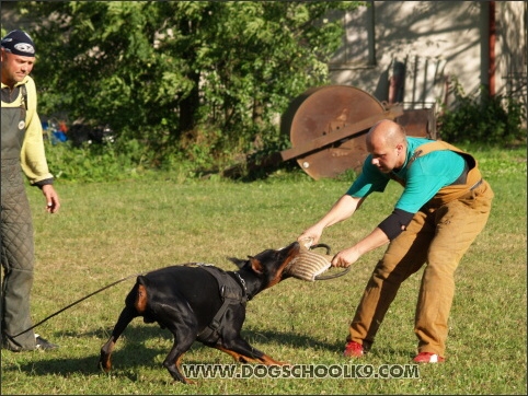 Training camp - Lukova 2007